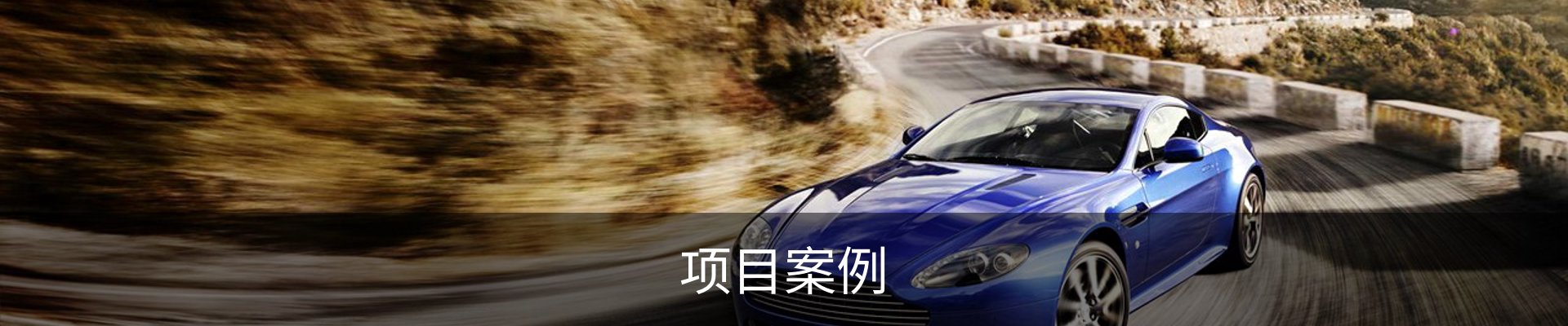 项目案例